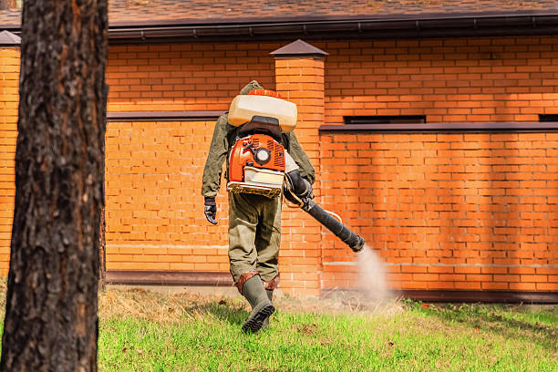 Bed Bug Clearance Verification and Documentation in Black Rock